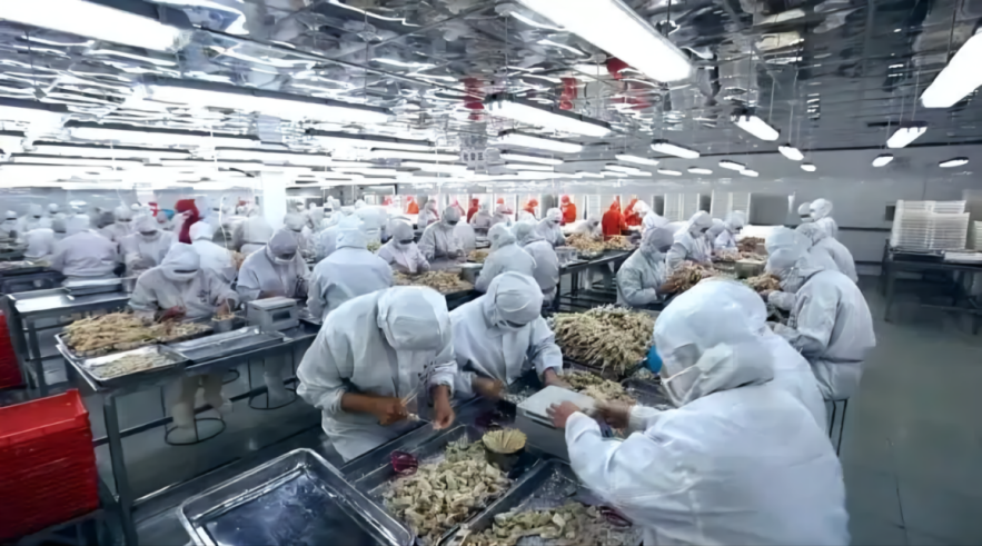 正在改变国人生态的“懒人菜”,图片,预制菜,食品安全,食品,团体标准,懒人经济,自动化,农残,第8张