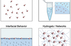 基于粒子的微流变学作为表征蛋白质材料的工具