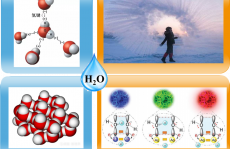 生命之源：你真的了解它吗？
