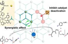 金属-有机层中的位点隔离增强了光氧化还原金的催化能力