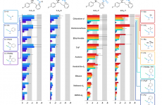 英国爱丁堡大学Angew：分子天平！解析溶剂对氢键的影响