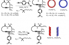  控制合成圆偏振发光的环状螺旋聚合物
