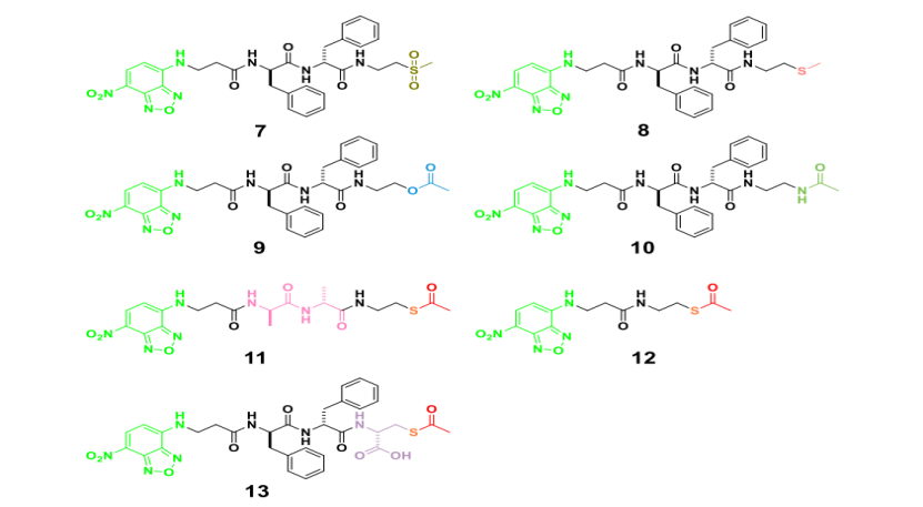 肽硫酯最新JACS: 靶向高尔基体的酶响应肽硫酯,图片,蛋白质,高尔基体,氨基酸,酶促活化,水,化学,癌症,酶,氧化还原,第3张