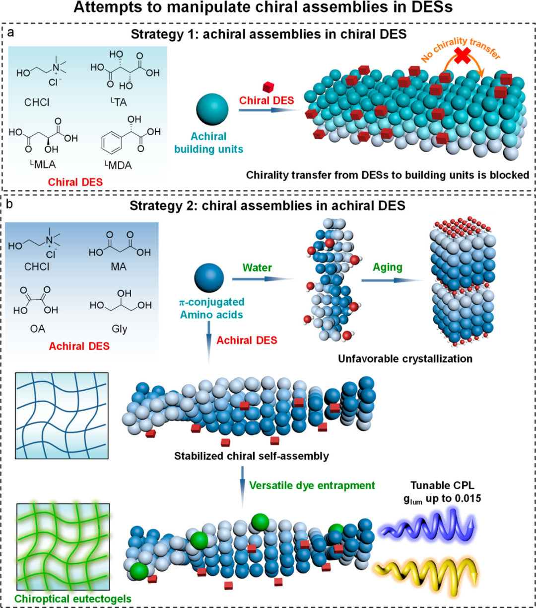 低共熔凝胶用作基质控制超分子手性和圆偏振发光,图片,手性光学,氨基酸,荧光团,第1张