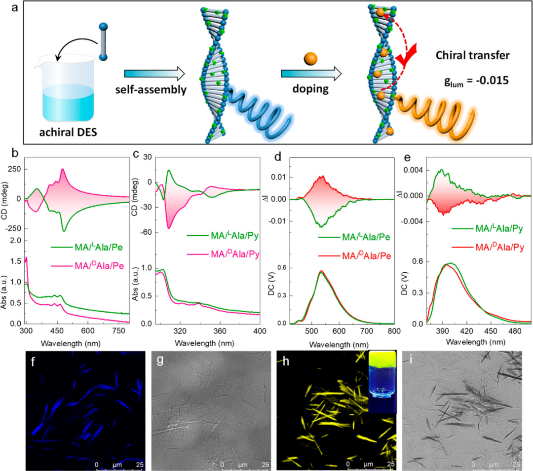 低共熔凝胶用作基质控制超分子手性和圆偏振发光,图片,手性光学,氨基酸,荧光团,第4张