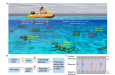 22年5篇顶刊速览“摩擦纳米发电机之父”王中林院士团队系列成果