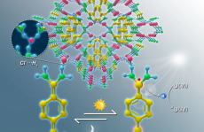 海南大学王宁Nat. Commun.：卤素氢键有机骨架（XHOF），用于光还原铀（VI）！