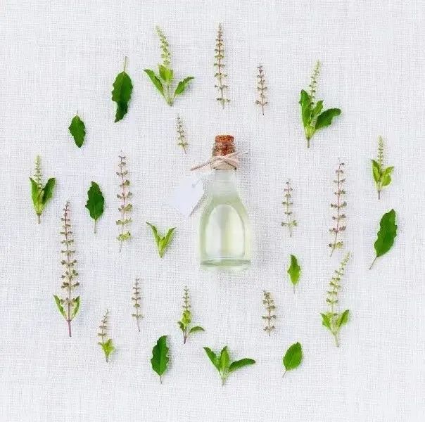 美食的灵魂——食品中的香气,图片,感官评价,仪器分析,芳香物质,头香物,水,元素,食品,化学,标准,第1张