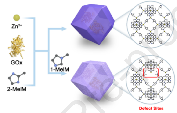 酶嵌入金属有机框架的缺陷工程可用于物质智能释放,图片,金属有机框架,葡萄糖,胰岛素,第1张
