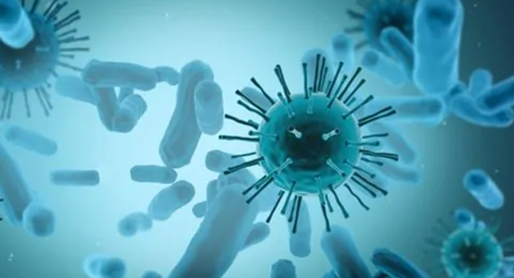 微观战争——微生物与抗生素,图片,微生物,显微镜,青霉素,列文虎克,巴斯德,李斯特,弗莱明,第1张