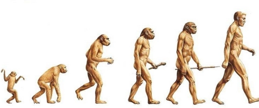 微观战争——微生物与抗生素,图片,微生物,显微镜,青霉素,列文虎克,巴斯德,李斯特,弗莱明,第2张