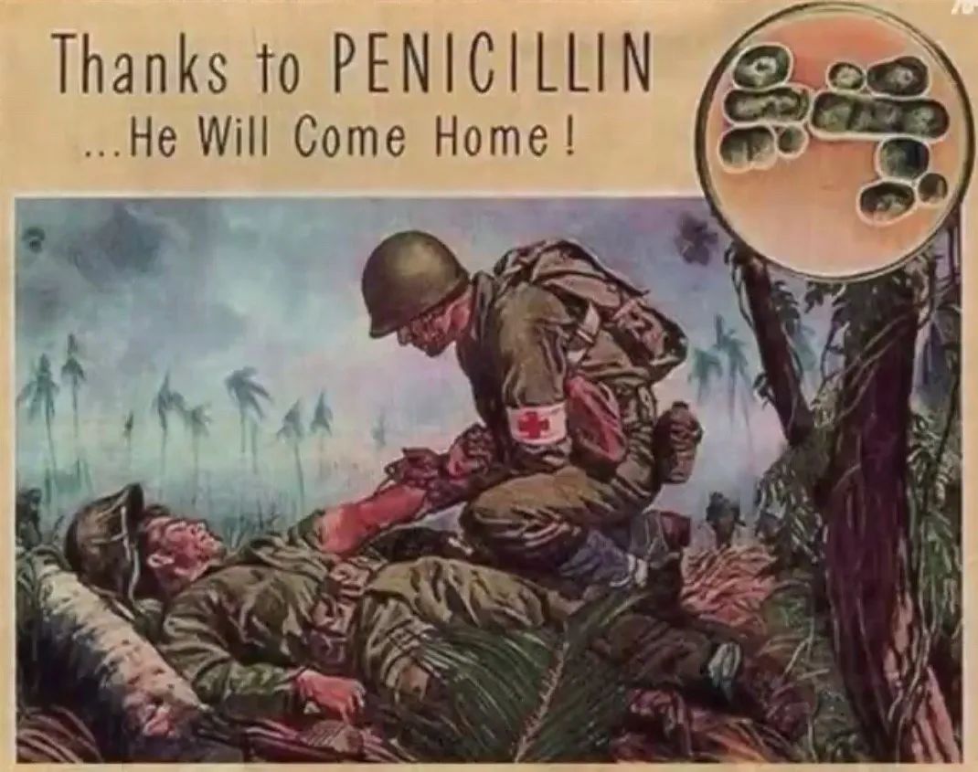 微观战争——微生物与抗生素,图片,微生物,显微镜,青霉素,列文虎克,巴斯德,李斯特,弗莱明,第7张