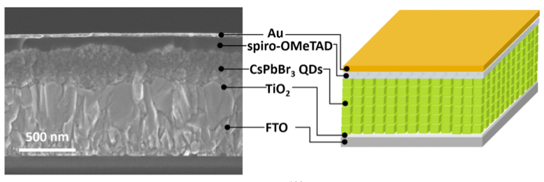 CsPbBr3钙钛矿量子点的多方面应用,图片,量子点,发光二极管,太阳能电池,光电探测器,材料,水,环境,金属,化学,第3张