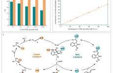 中科大龚流柱Nat. Commun.：手性氮杂环卡宾和铜配合物协同催化的立体发散性不对称炔丙基化反应