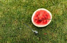 吃剩的西瓜能不能放冰箱？夏季蔬果保存法来啦！