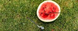 吃剩的西瓜能不能放冰箱？夏季蔬果保存法来啦！