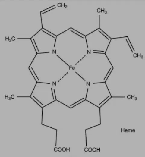 补铁剂的人体之旅,图片,元素,铁,红细胞,缺铁性贫血,补铁剂,第2张