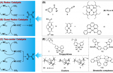 Matthias Beller 最新 Angew. Chem. ：还原 CO2 为 C2+ 化合物的分子催化剂！