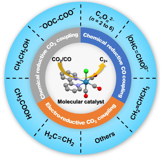 Matthias Beller 最新 Angew. Chem. ：还原 CO2 为 C2+ 化合物的分子催化剂！,图片,材料,催化剂,分子催化剂,第2张