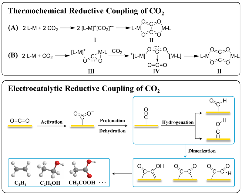 Matthias Beller 最新 Angew. Chem. ：还原 CO2 为 C2+ 化合物的分子催化剂！,图片,材料,催化剂,分子催化剂,第3张