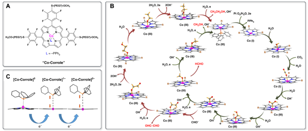 Matthias Beller 最新 Angew. Chem. ：还原 CO2 为 C2+ 化合物的分子催化剂！,图片,材料,催化剂,分子催化剂,第6张