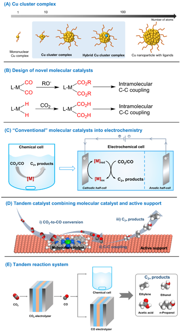 Matthias Beller 最新 Angew. Chem. ：还原 CO2 为 C2+ 化合物的分子催化剂！,图片,材料,催化剂,分子催化剂,第11张