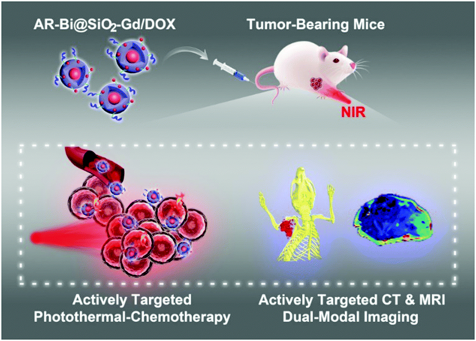  液态金属材料用于肿瘤治疗等生物领域,图片,液态金属,生物传感器,材料,肿瘤,纳米,药物输送,第1张