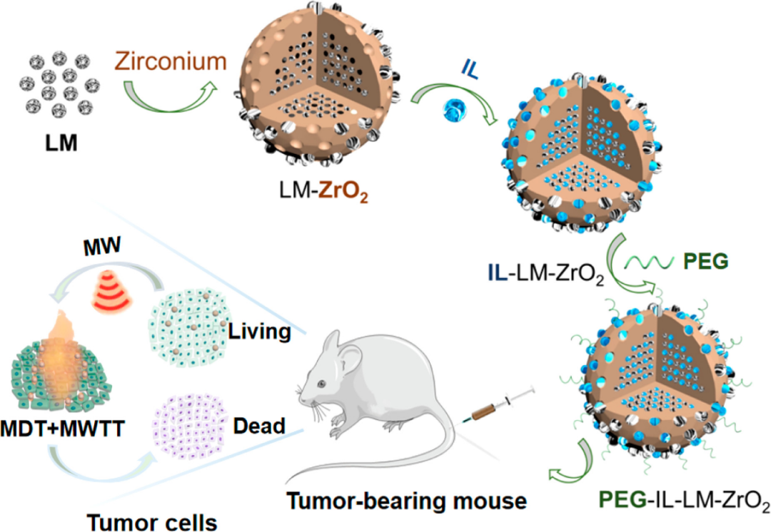  液态金属材料用于肿瘤治疗等生物领域,图片,液态金属,生物传感器,材料,肿瘤,纳米,药物输送,第2张