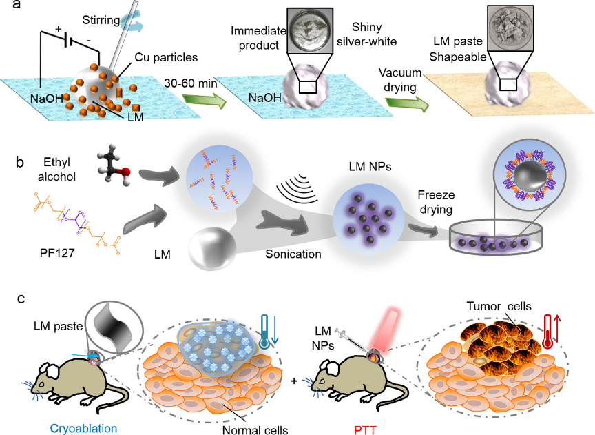  液态金属材料用于肿瘤治疗等生物领域,图片,液态金属,生物传感器,材料,肿瘤,纳米,药物输送,第4张