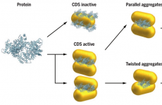 4篇 Science + 1篇 ScienceAdvances：探究神秘的起源