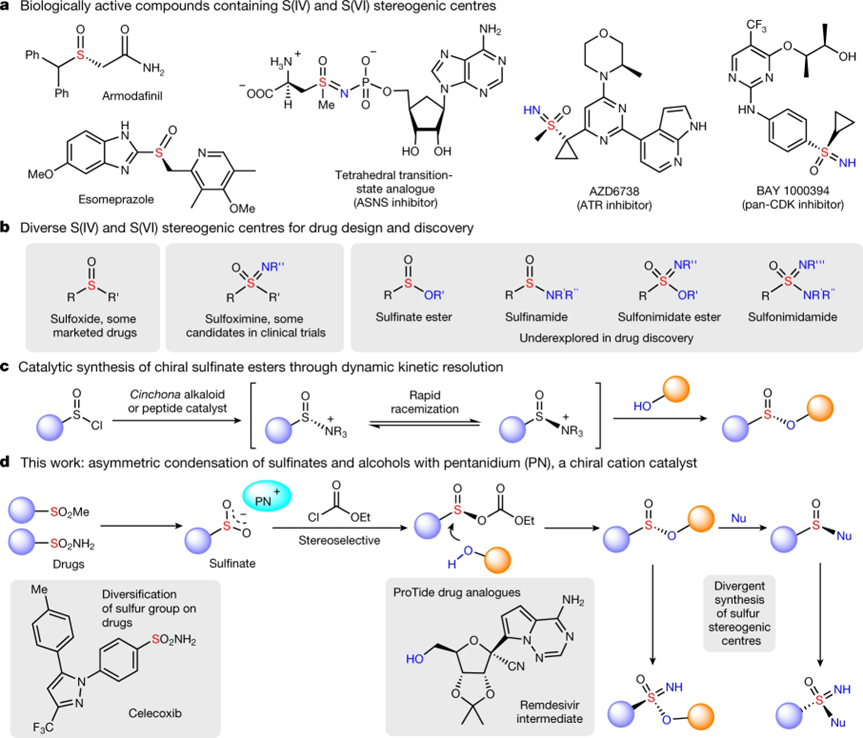 Nature：连续5篇，该领域两次出现诺贝尔化学奖！,图片,材料,催化剂,对映体,金属,手性,化学,生物,物理,第4张
