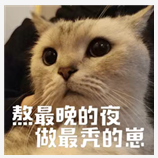 别熬夜了，不值得,图片,癌症,心血管疾病,糖尿病,睡眠,环境,安全,蛋白质,酒精,活性,第1张