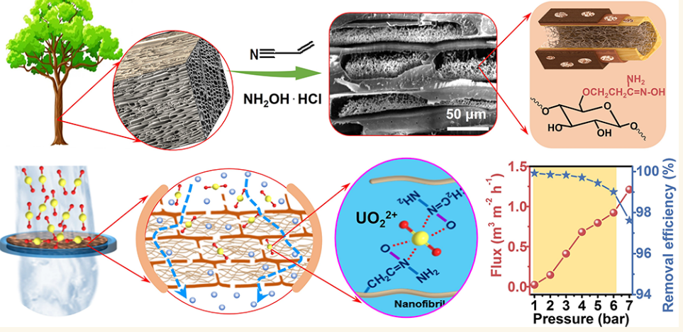 海水中的宝藏，你真的知道吗？,图片,核电,化石燃料,铀,新能源,环保,第2张