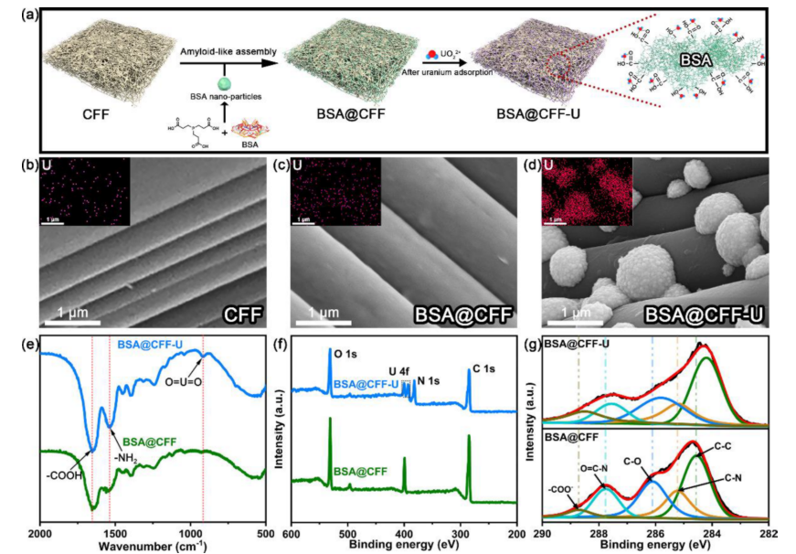 海水中的宝藏，你真的知道吗？,图片,核电,化石燃料,铀,新能源,环保,第8张
