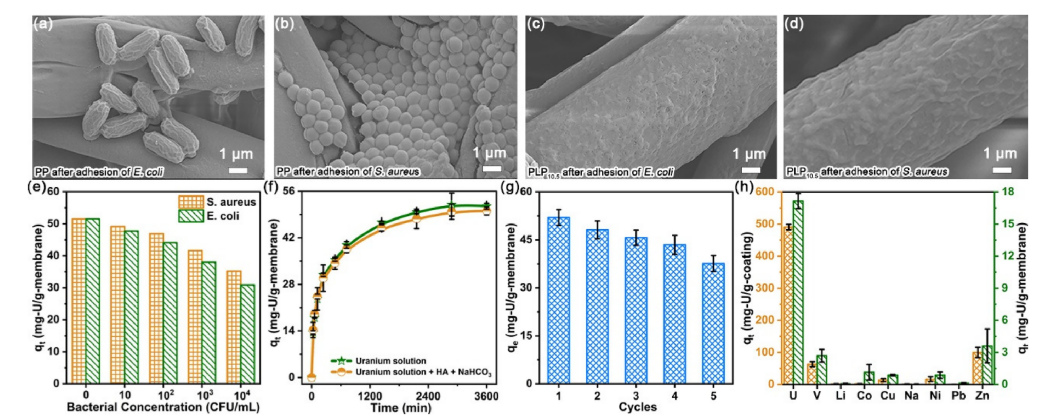 海水中的宝藏，你真的知道吗？,图片,核电,化石燃料,铀,新能源,环保,第4张