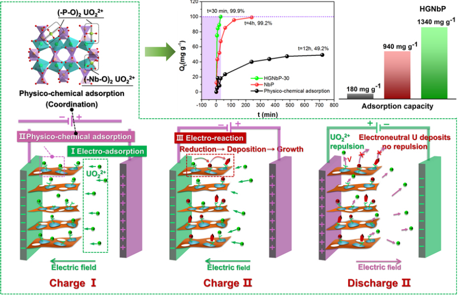 海水中的宝藏，你真的知道吗？,图片,核电,化石燃料,铀,新能源,环保,第6张