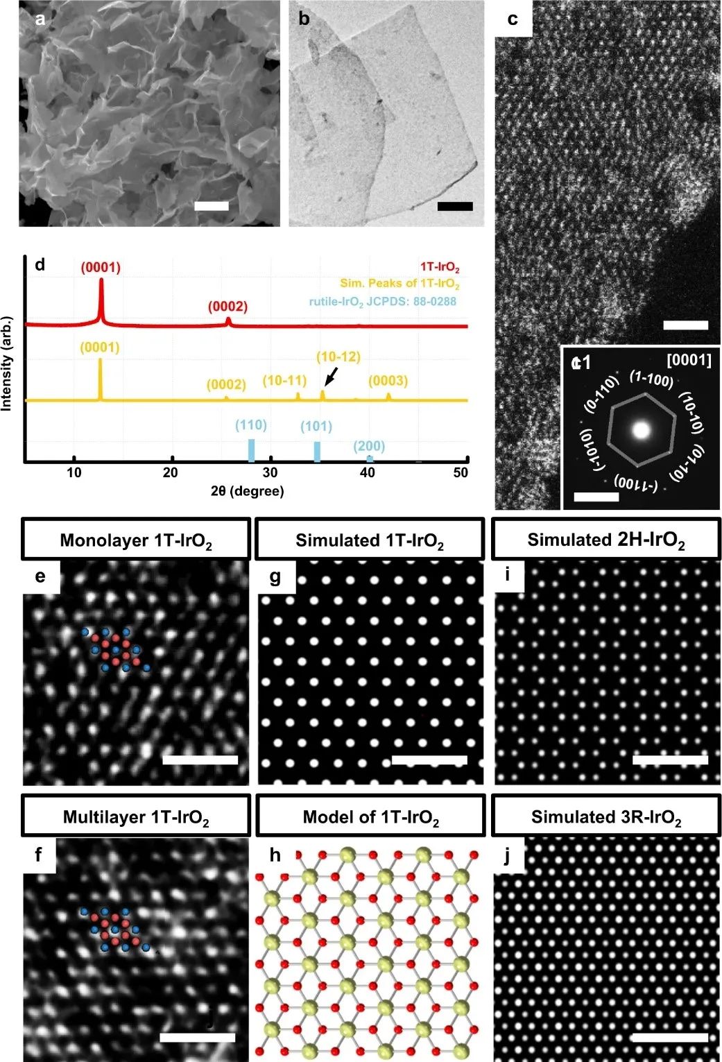 IrO2金属烯：新型酸性OER催化剂！,图片,新材料,催化剂,质子交换膜燃料电池,电化学,析氧,第3张
