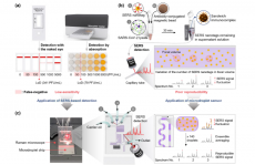 冠状病毒还能这样快速检测？你学到了吗？