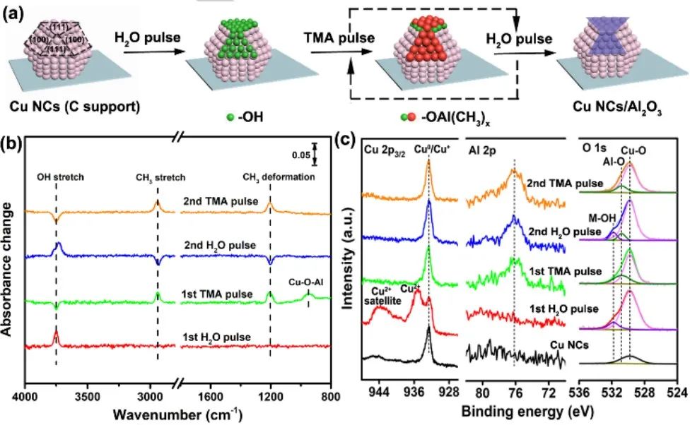 Angew：在铜纳米晶上面选择性沉积超薄氧化铝实现高稳定性二氧化碳电还原乙烯,图片,催化剂,材料,傅里叶变换,纳米,水,金属,能源,电化学,第2张