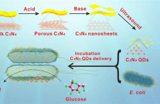 氢能源研究进展