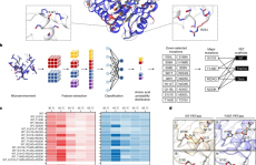 变废为宝-塑料的再利用