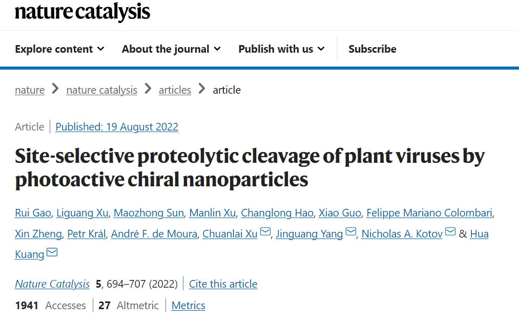 手性分子合成进展,图片,手性分子,联烯化合物,不对称合成,纳米粒子,能量转移作用,第6张