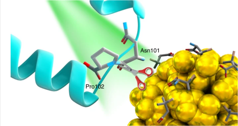 手性分子合成进展,图片,手性分子,联烯化合物,不对称合成,纳米粒子,能量转移作用,第7张