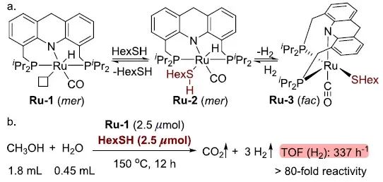 最新JACS! 硫醇小身材，实现大能量！——无碱高效水相重整甲醇制氢,图片,催化机理,甲醇重整制氢,硫醇诱导,可持续性和环保性,催化剂,第2张