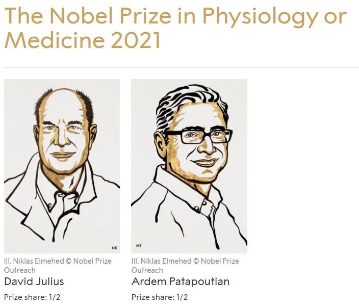 探寻2021诺奖背后的故事,图片,诺贝尔奖,感知能力,慢性疼痛,辣椒素识别,神经冲动,第1张
