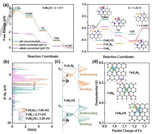 Angew：牺牲重构Fe-S键!ORR反应实现精准调控Fe-N-C金属中心局部配位结构,图片,贵金属催化剂,燃料电池,催化剂,ORR性能,吸电子性能,第4张