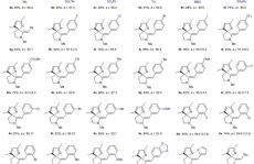 厦门大学叶龙武课题组Nature Chemistry：基于炔烃的手性有机酸催化研究进展