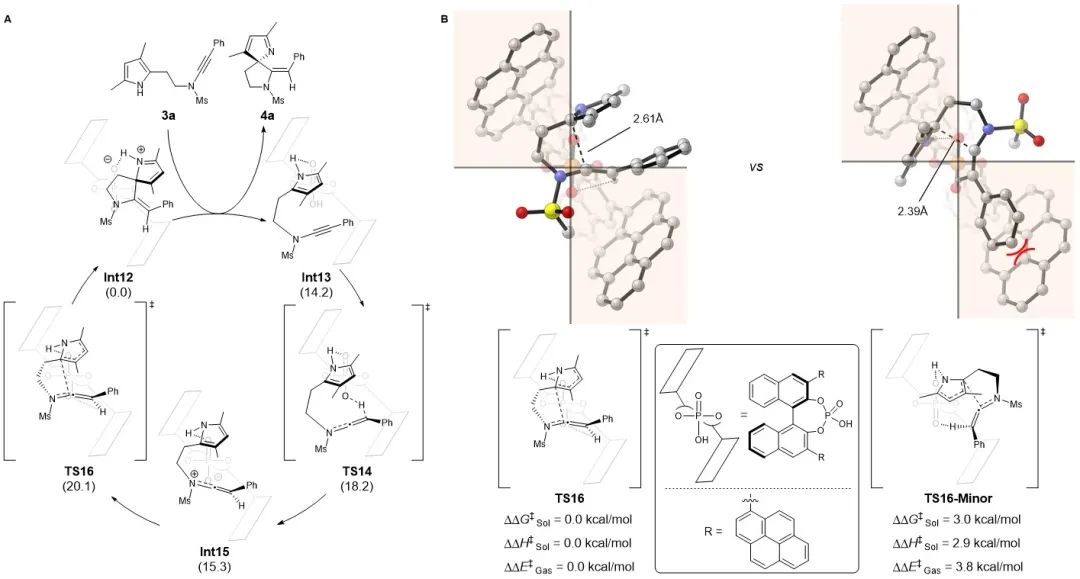厦门大学叶龙武课题组Nature Chemistry：基于炔烃的手性有机酸催化研究进展,图片,手性Brønsted酸,不对称催化,吡咯-炔酰胺底物,去芳构化,螺环药物,第5张