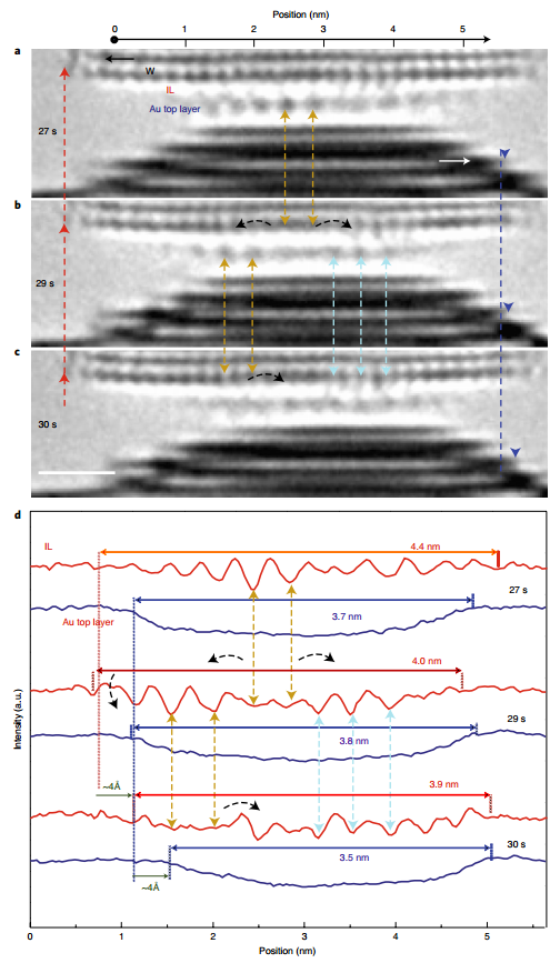 原位电镜最新Nature Materials!,图片,纳米摩擦学领域,原位电镜,分子动力学,原子扩散,原位透射电子显微镜 (TEM),第4张