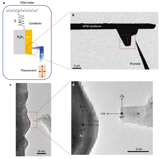 原位电镜最新Nature Materials!,图片,纳米摩擦学领域,原位电镜,分子动力学,原子扩散,原位透射电子显微镜 (TEM),第1张
